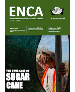 ENCA 67: El Verdadero Precio de la Caña de Azúcar